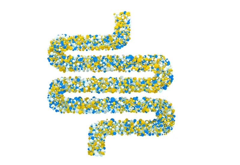 equilibrio-intestinal-papel-de-microbiota-en-prevencion-del-estrenimiento-2