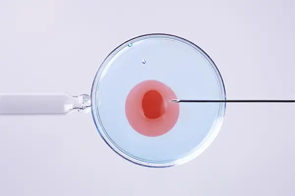 inseminacion-artificial-y-fecundacion-in-vitro-2